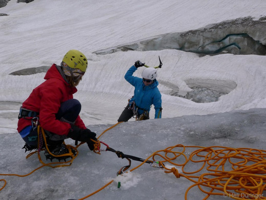 P1100654 _Medium_.JPG