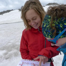 P1100656 _Medium_.JPG