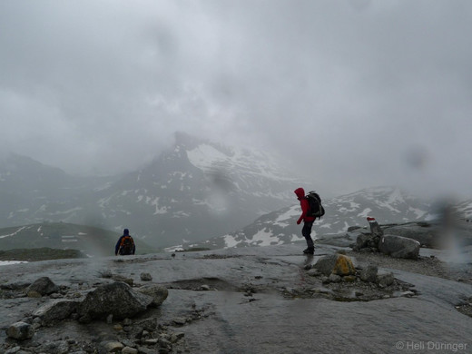 P1100666 _Medium_.JPG