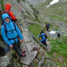 P1100667 _Medium_.JPG