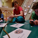 P1100674 _Medium_.JPG