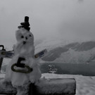 P1100677 _Medium_.JPG