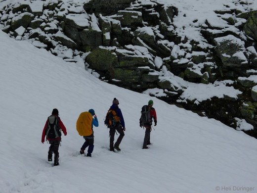 P1100679 _Medium_.JPG