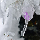 P1100693 _Medium_.JPG