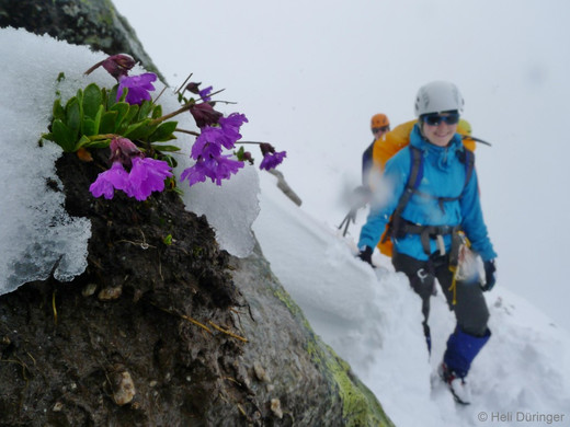 P1100695 _Medium_.JPG