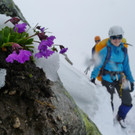 P1100695 _Medium_.JPG