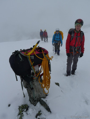 P1100698 _Medium_.JPG