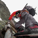 P1100720 _Medium_.JPG