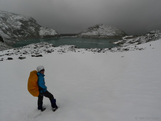 P1100725 _Medium_.JPG