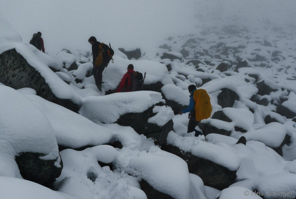 P1100731 _Medium_.JPG