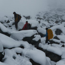 P1100731 _Medium_.JPG