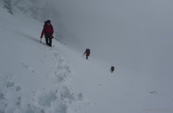 P1100733 _Medium_.JPG