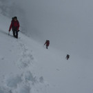 P1100733 _Medium_.JPG