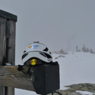 P1100745 _Medium_.JPG