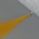 P1100756 _Medium_.JPG