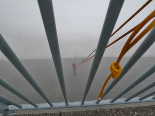 P1100760 _Medium_.JPG