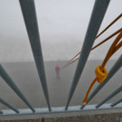 P1100760 _Medium_.JPG