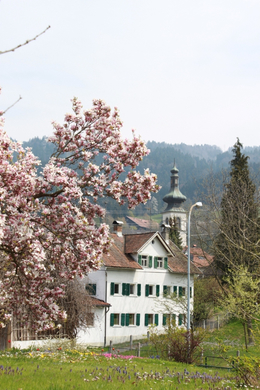 Lochau Fruehling 2010 _10__jpg-1272122747