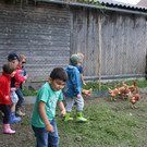 IMG_2054.jpg