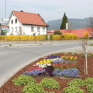Lochau Fruehling 2010 _13__jpg-1272122797