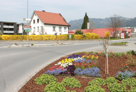 Lochau Fruehling 2010 _13__jpg-1272122797