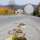 Lochau Fruehling 2010 _17__jpg-1272122870