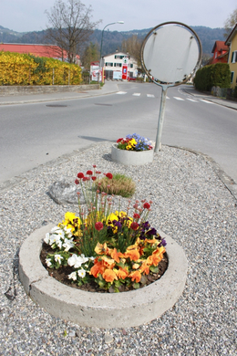 Lochau Fruehling 2010 _17__jpg-1272122870