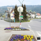 Lochau Fruehling 2010 _19__jpg-1272122900