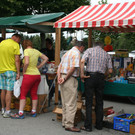 IMG_4145.jpg