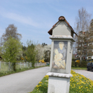 Lochau Fruehling 2010 _22__jpg-1272122953
