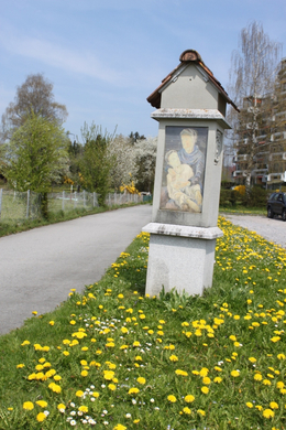 Lochau Fruehling 2010 _22__jpg-1272122953