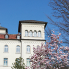 Lochau Fruehling 2010 _27__jpg-1272123041