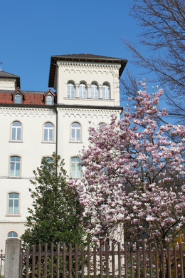 Lochau Fruehling 2010 _27__jpg-1272123041