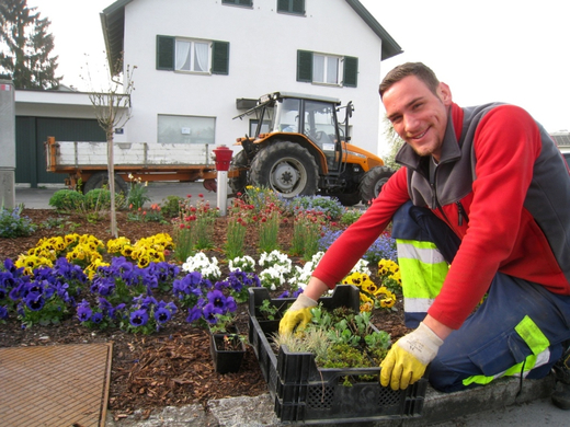 Lochau Fruehling 2010 _28__jpg-1272123052