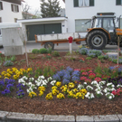 Lochau Fruehling 2010 _29__jpg-1272123065