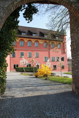 Lochau Fruehling 2010 _31__jpg-1272123100