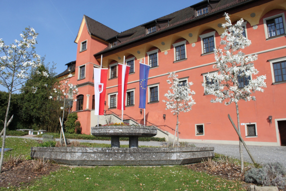 Lochau Fruehling 2010 _34__jpg-1272123151