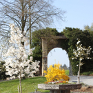 Lochau Fruehling 2010 _35__jpg-1272123169