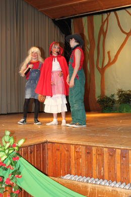 VS Englisch Theater Lochau 2010 _11__jpg-1272123607