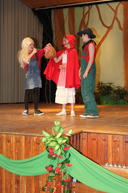 VS Englisch Theater Lochau 2010 _12__jpg-1272123623