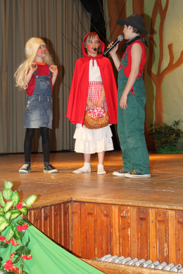 VS Englisch Theater Lochau 2010 _13__jpg-1272123640