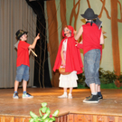 VS Englisch Theater Lochau 2010 _16__jpg-1272123685