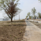 Kaiserstrand Hafen Baufortschritt 23-04-2010 _7__jpg-1272124580