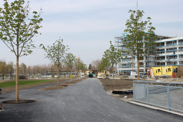 Kaiserstrand Hafen Baufortschritt 23-04-2010 _23__jpg-1272124851