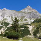 _MG_5304.jpg