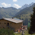 _MG_5337.jpg
