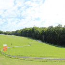 Sommerrodelbahn in Wien 