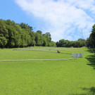IMG_1208.JPG