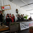 DSC00252.JPG