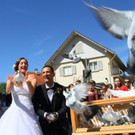 k-IMG_5550.JPG